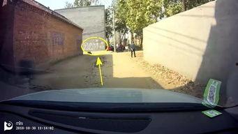 周口森林公园爆料事件视频,惊人视频揭露惊人真相